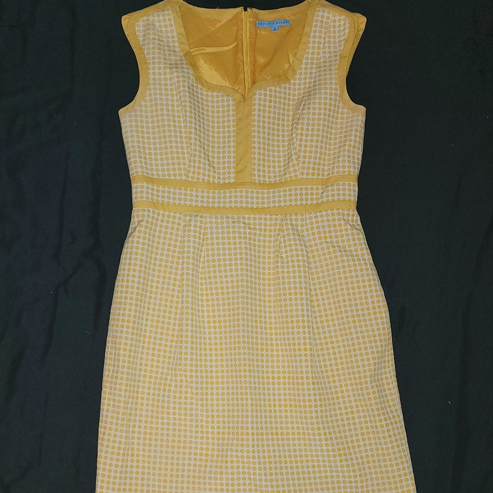Yellow and White  Antonio Melani dress